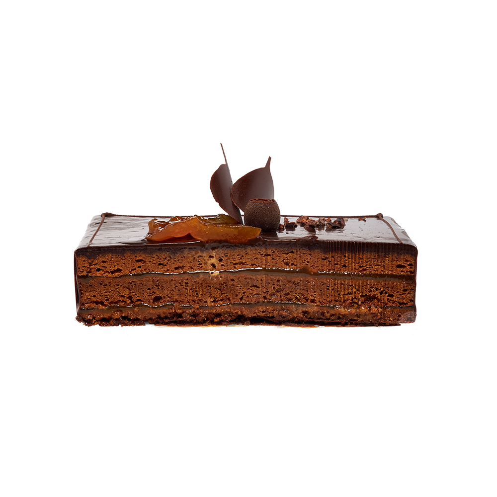 Sacher_05.png